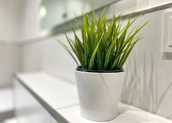 Fritz-reuter-weg 2 11 아파트