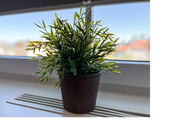 Fritz-reuter-weg 2 11